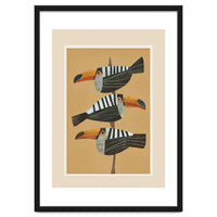 Tropic Trio