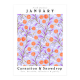 Carnations And Snowdrop January Birth Flower Floral Print (Print Only) thumbnail