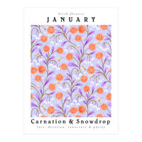 Carnations And Snowdrop January Birth Flower Floral Print (Print Only)
