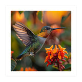 Hummingbird Hovering Near Orange Flowers (Print Only) thumbnail