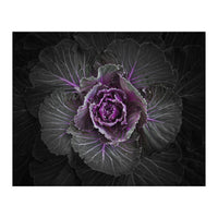 Backyard Flowers No 108 Color Version (Print Only)