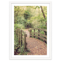 Path To The Bridge