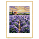 Visions of Provence thumbnail