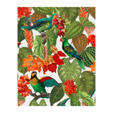 Tropical Parrots In Flower Jungle  (Print Only) thumbnail