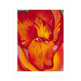 Georgia O’Keeffe – Canna Red and Orange (1926) | Vibrant Modernist Floral Painting in Bold Organic Forms (Print Only) thumbnail