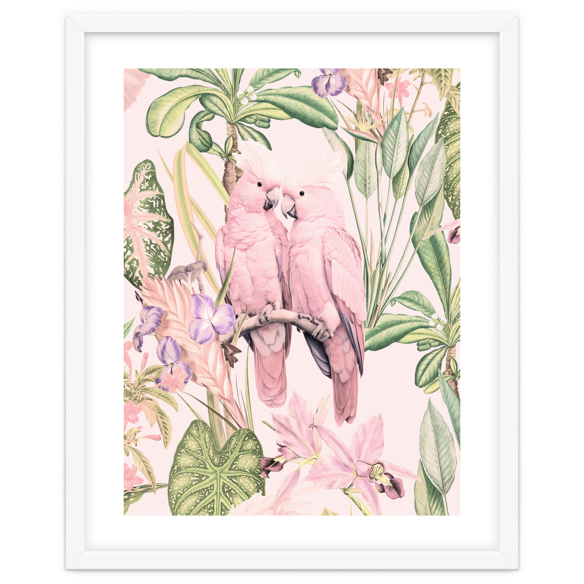 Pink Cockatoos in Love