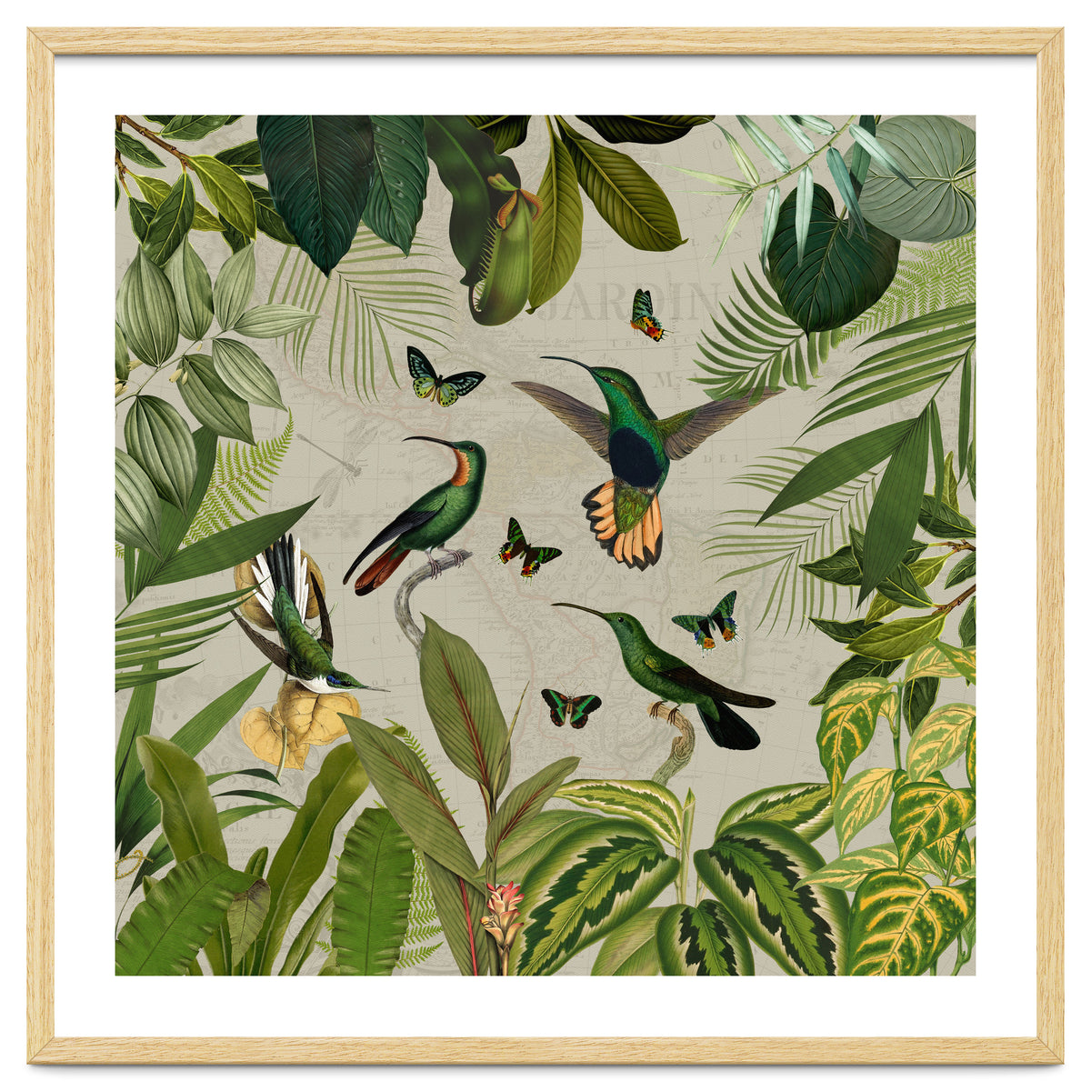 Vintage Exotic Hummingbirds Jungle