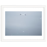 A flying seagull in the winter sky thumbnail