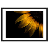 Backyard Flowers No 28 Sunflower thumbnail