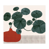 Stephonia Erecta plant (Print Only) thumbnail