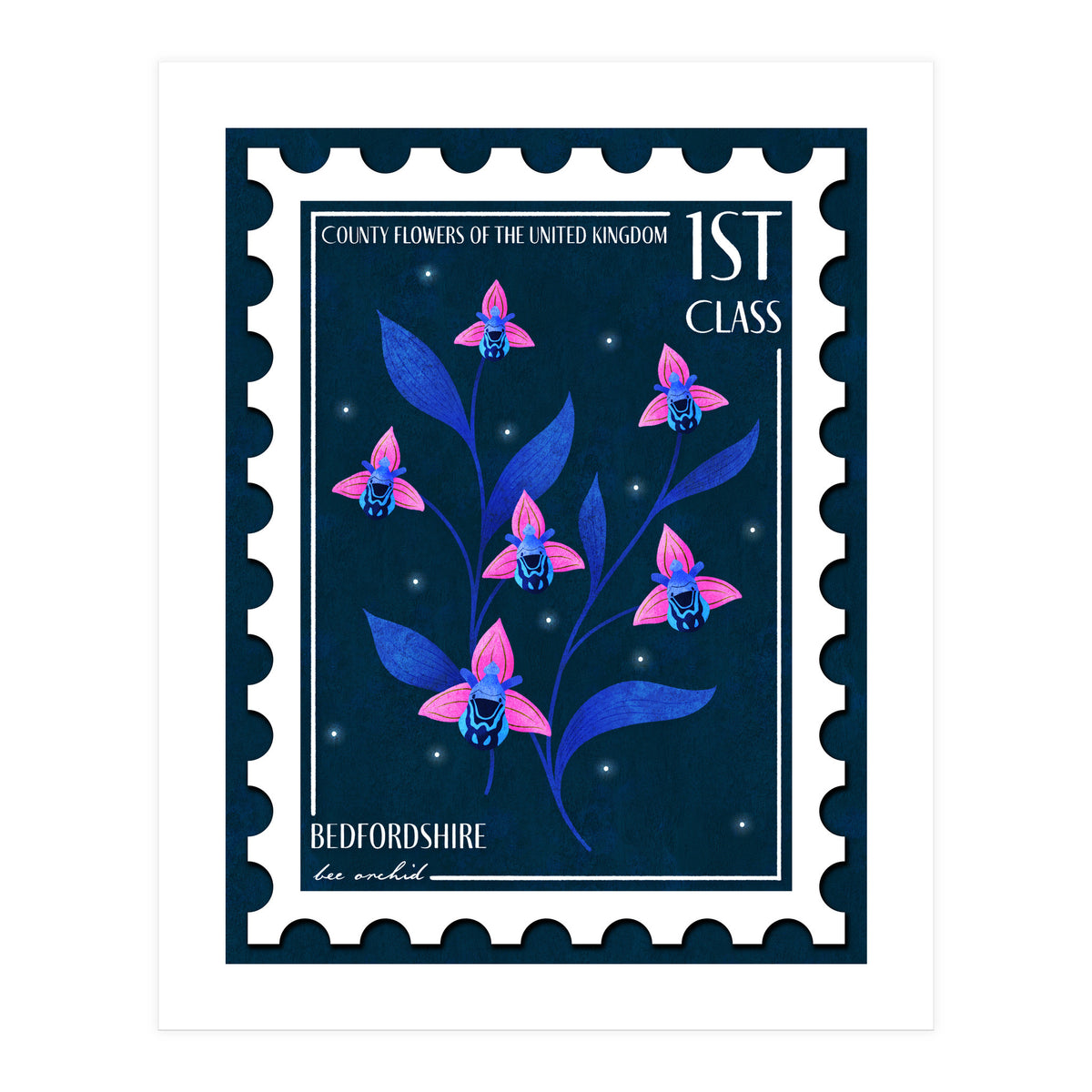 Bedfordshire Bee Orchid Postage Stamp (Print Only)