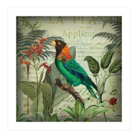 Tropical Bird Nostalgia  (Print Only)