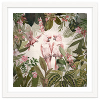 Pink Parrots Exotic Rainforest