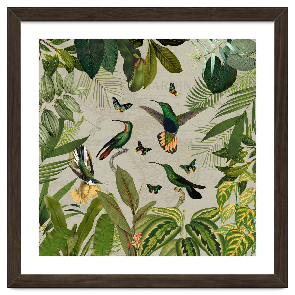 Vintage Exotic Hummingbirds Jungle