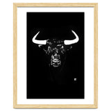Toro thumbnail