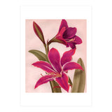 Vintage Floral (Print Only) thumbnail