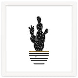Black Cactus thumbnail