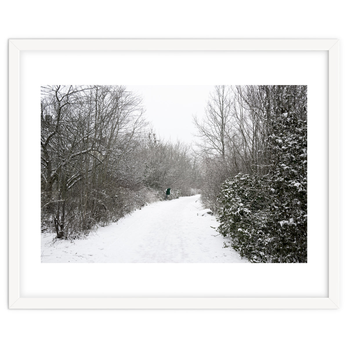 Walking through the snow park