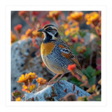 Bird Perched On A Rock With Flowers (Print Only) thumbnail