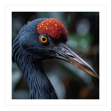 Black Crane Bird Head With Red Crown And Raindrops (Print Only) thumbnail
