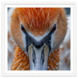 Close Up Of A Pelican's Beak With Water Droplets thumbnail