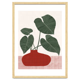 Philodendron Gloriosum plant thumbnail