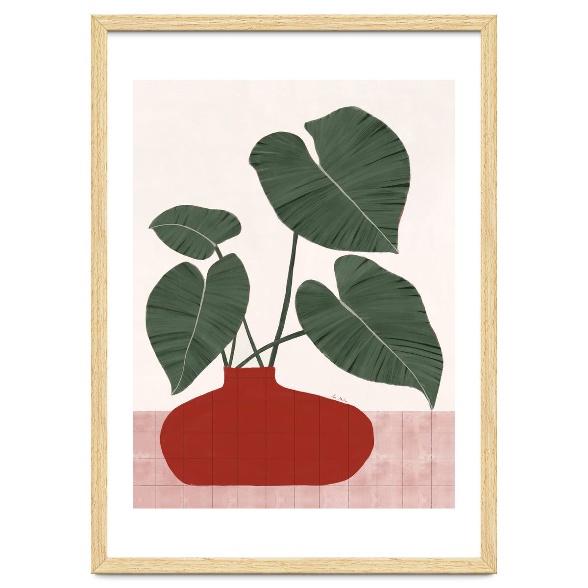 Philodendron Gloriosum plant