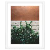 Plant + Copper thumbnail