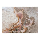 Discovery (Print Only) thumbnail
