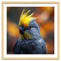 Close-up Portrait of a Yellow Cockatoo in the Wild.