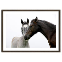 Two Horses