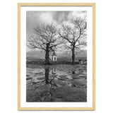 Churches and trees thumbnail