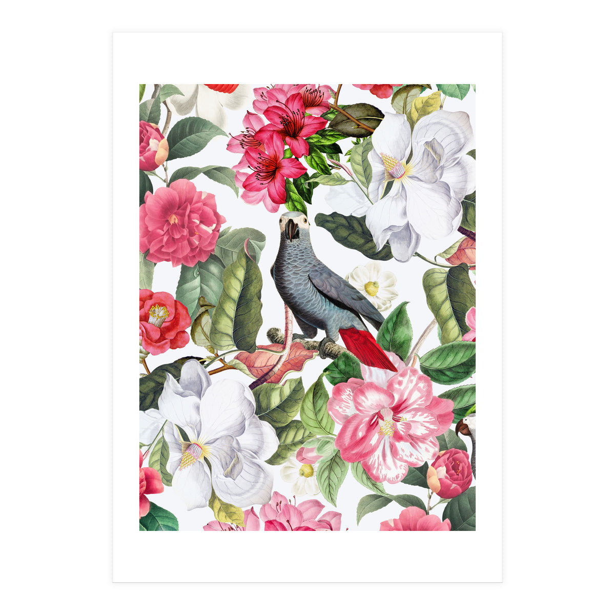 Vintage Cockatoo in Flower Jungle (Print Only)