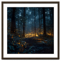 Enchanted Midnight Forest with Glowing Fireflies