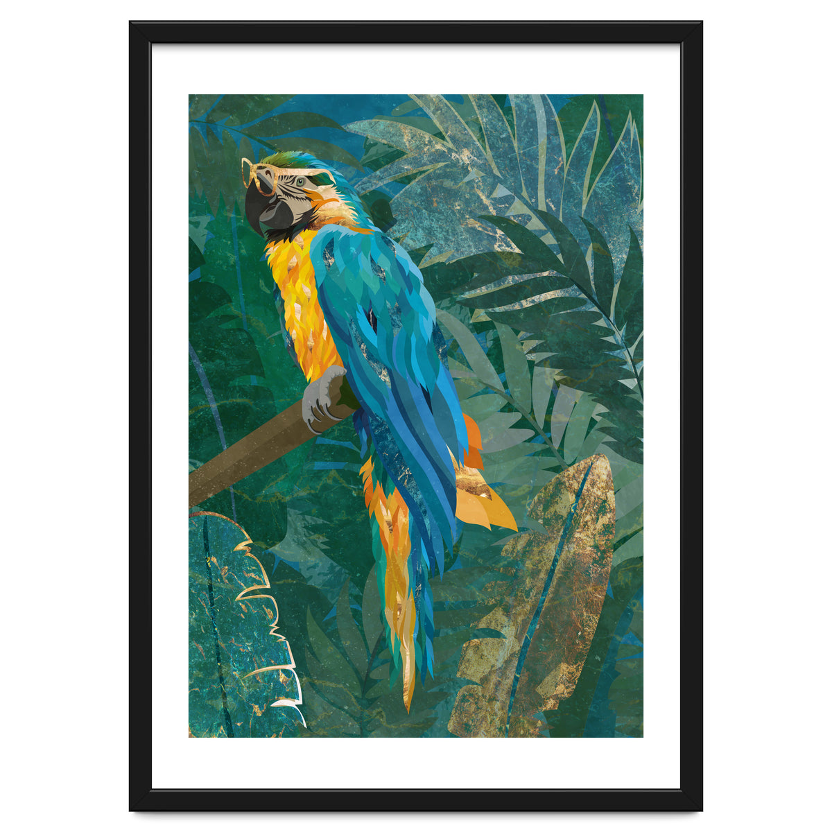 Macaw in the jungle