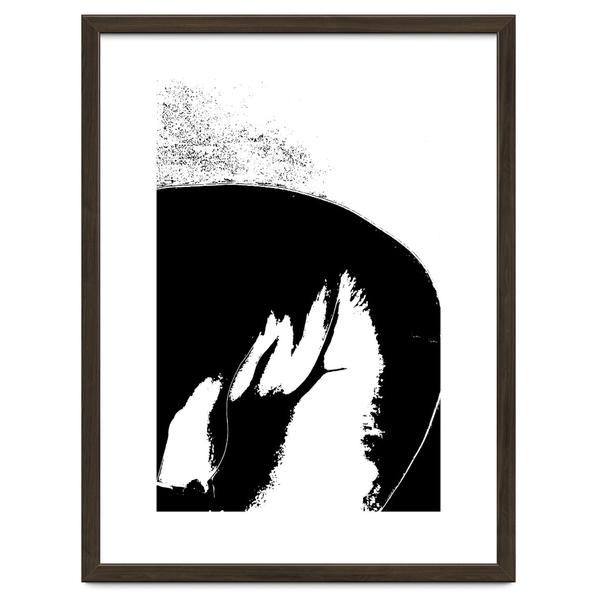 Black & White Study III