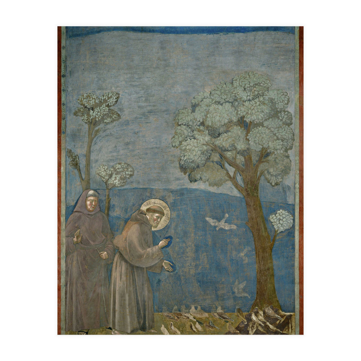 Saint Francis of Assisi preaching to the birds. Giotto. GIOTTO DE BONDONE (1266-1337). (Print Only)