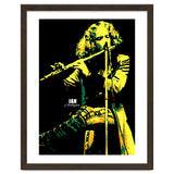 Ian Anderson Musician Legend thumbnail
