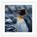 King Penguin Standing In Snowfall Outdoors thumbnail
