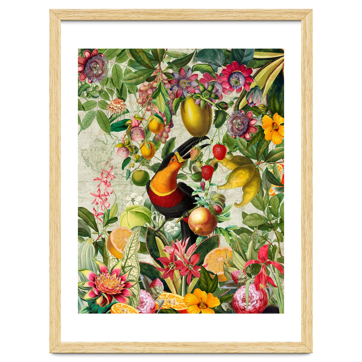 Toucan vintage jungle 1