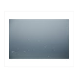 Flying Segulls in thet winter sky (Print Only) thumbnail
