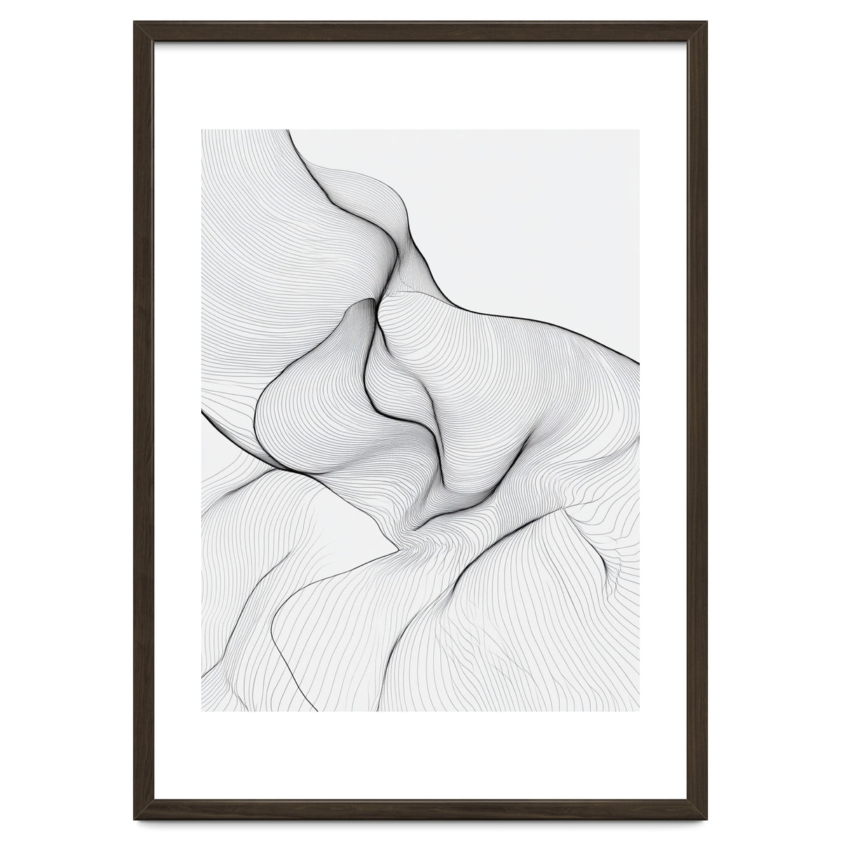 Abstract Black And White Flowing Lines Organic Form