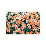 Floral Bliss, Nature Photography Garden Meadow, Blush Orange Coral Summer Flowers Botanical (Print Only) thumbnail