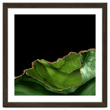 Green & Gold Agate Texture 06 thumbnail
