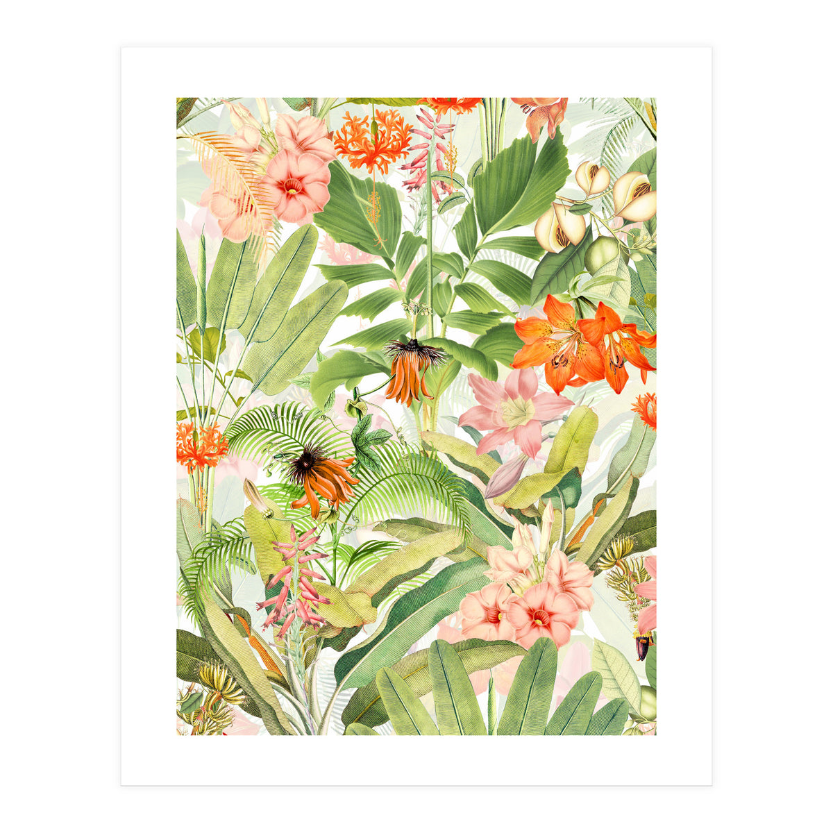 Luxurious Botanical Flower Jungle (Print Only)
