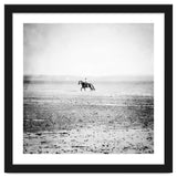 Sea Horse thumbnail