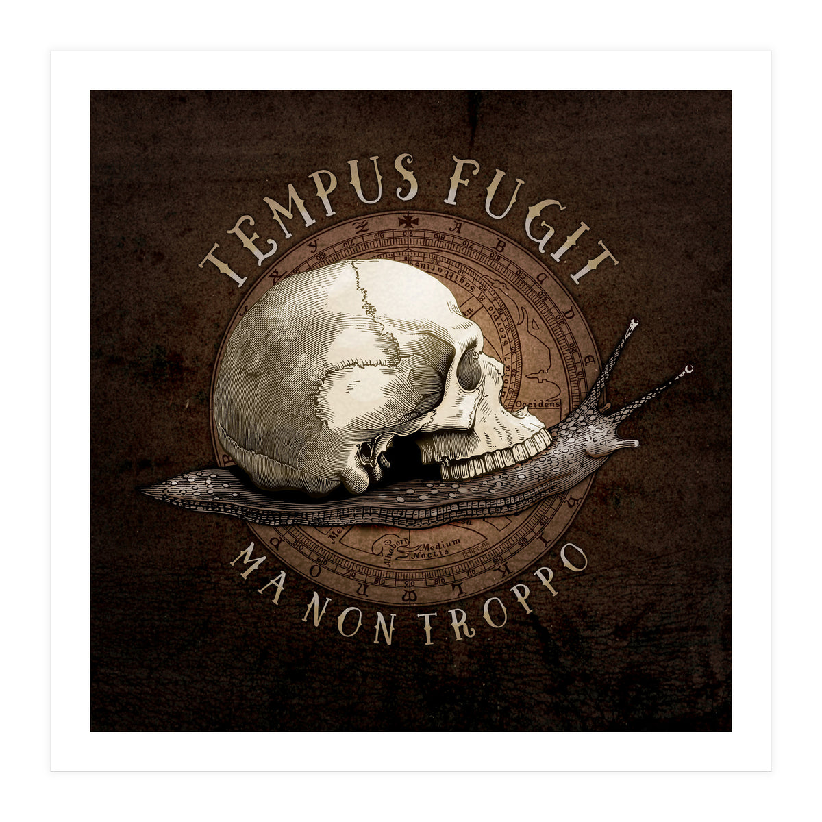 Tempus Fugit (ma non troppo) (Print Only)