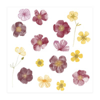 Pressed Flowers (Print Only)