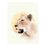 Lioness (Print Only) thumbnail