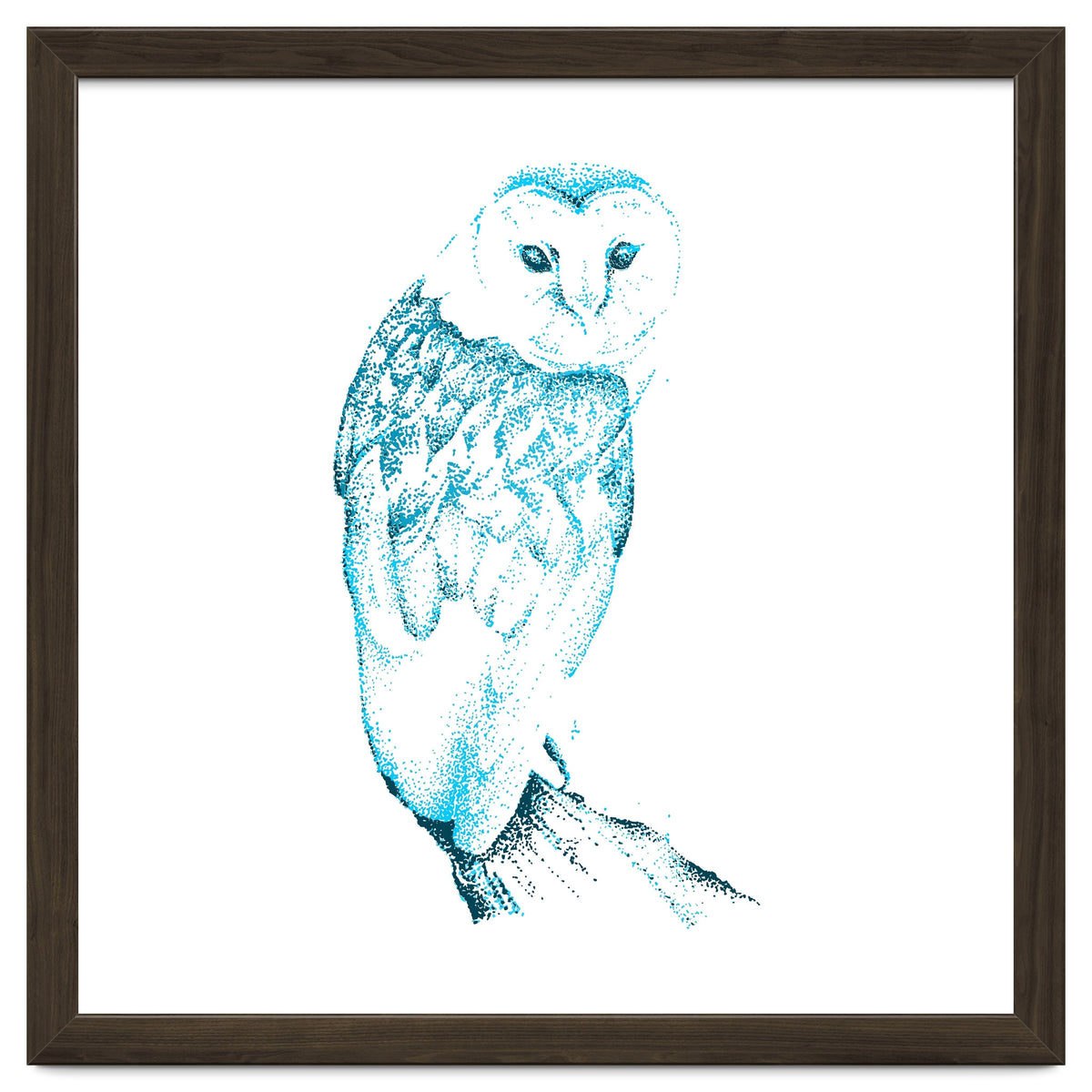 Barn Owl in Teal